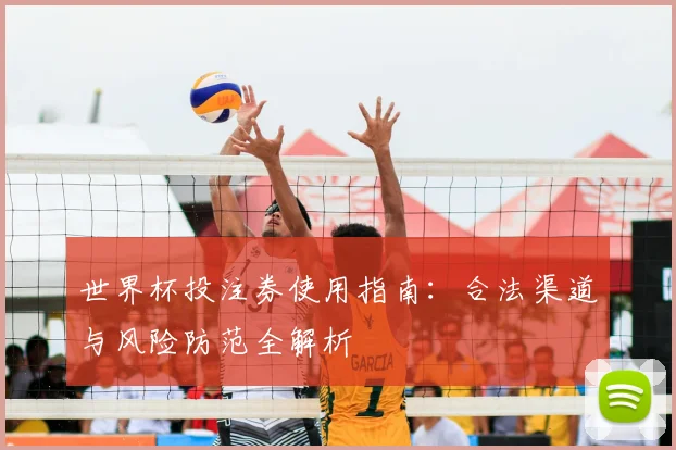 世界杯投注券使用指南：合法渠道与风险防范全解析