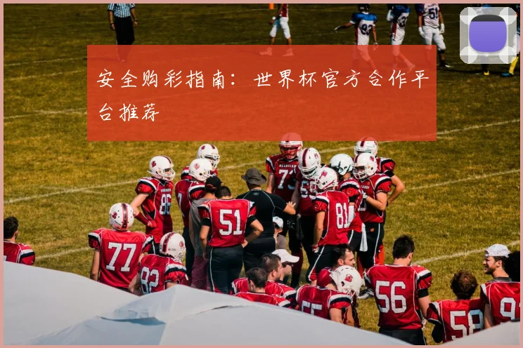 安全购彩指南：世界杯官方合作平台推荐